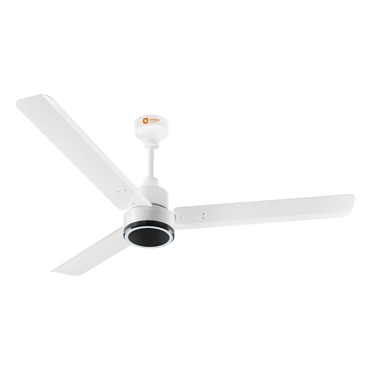 1200mm Ecotech Prime BLDC 5 Star Rated Ceiling Fan With Remote