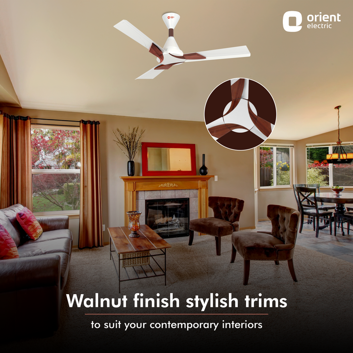 Wendy 1200mm 5 Star Rated BLDC Ceiling Fan with Remote