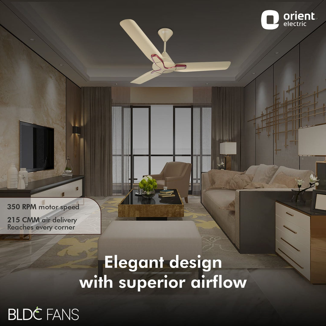 1200mm Jazz BLDC Decorative Ceiling Fan With Remote