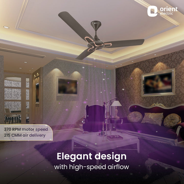 Jazz Anti Dust Decorative Ceiling Fan