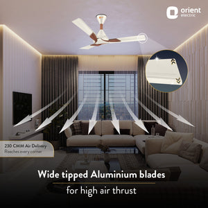 Wendy BEE Star Rated Ceiling Fan