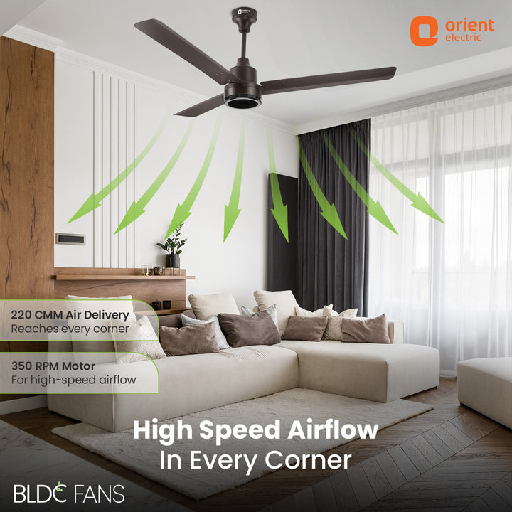 1200mm Ecotech Prime BLDC 5 Star Rated Ceiling Fan With Remote