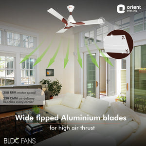 Wendy 1200mm 5 Star Rated BLDC Ceiling Fan with Remote