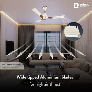 Wendy BEE Star Rated Ceiling Fan