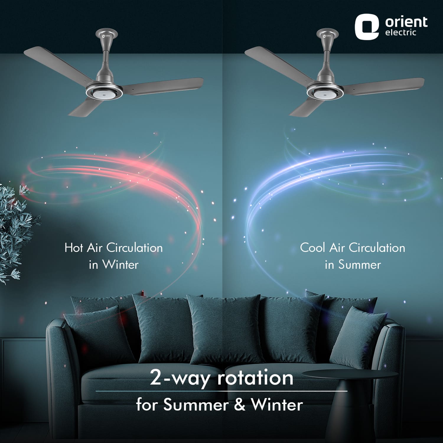 I Float IoT 5 Star Rated BLDC Ceiling Fan