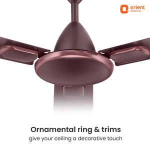 Blanco Antidust High Speed Decorative Ceiling Fan