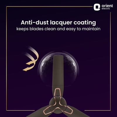 Jazz Anti Dust Decorative Ceiling Fan