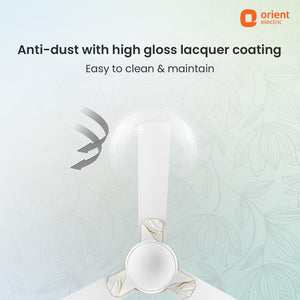 Mozart Minimalist Designer Ceiling Fan