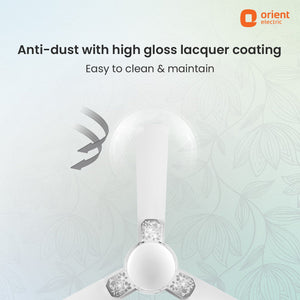 Mozart Nature Designer Ceiling Fan