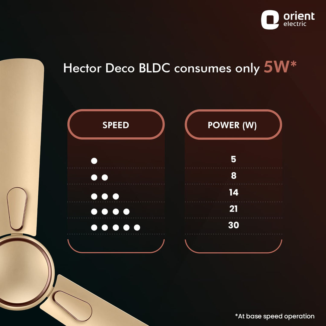 1200MM Hector Deco BLDC Ceiling Fan with Remote