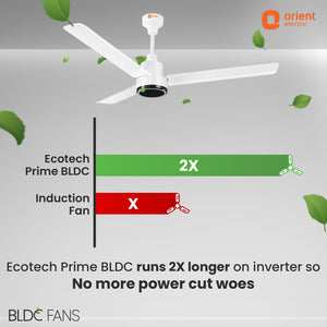 1200mm Ecotech Prime BLDC 5 Star Rated Ceiling Fan With Remote