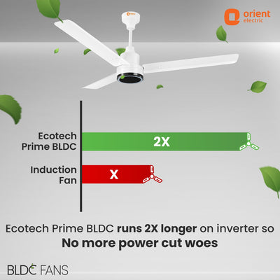 1200mm Ecotech Prime BLDC 5 Star Rated Ceiling Fan With Remote