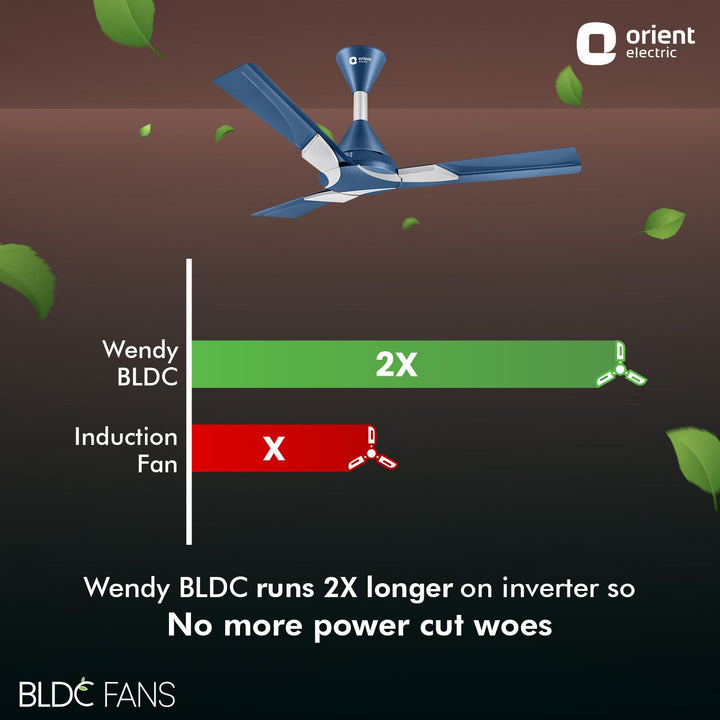 Wendy 1200mm 5 Star Rated BLDC Ceiling Fan with Remote