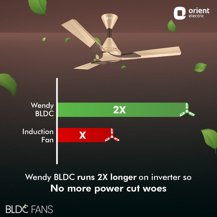 Wendy 1200mm 5 Star Rated BLDC Ceiling Fan with Remote