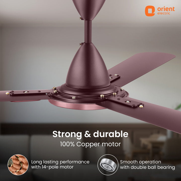 Blanco Antidust High Speed Decorative Ceiling Fan