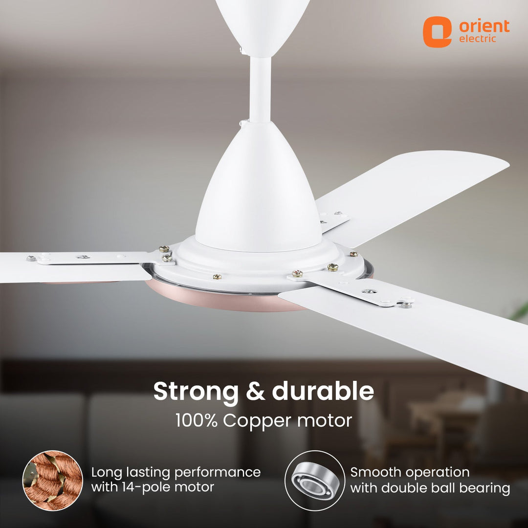 Blanco Antidust High Speed Decorative Ceiling Fan