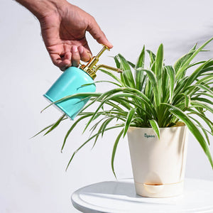 Spritzer Metallic Mister