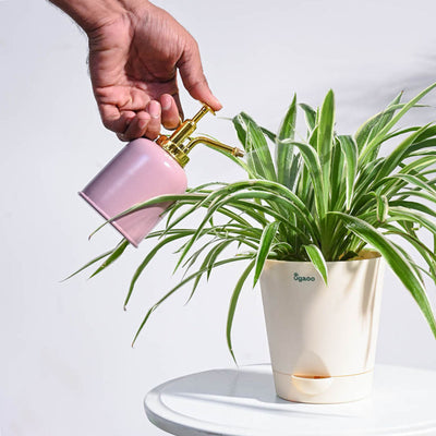 Spritzer Metallic Mister