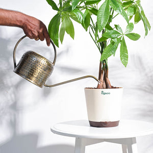 Magnum Watering Can