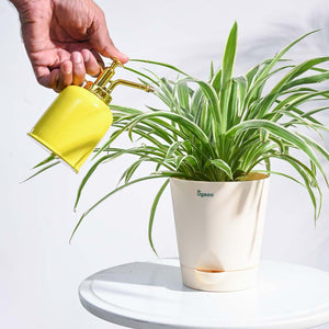 Spritzer Metallic Mister