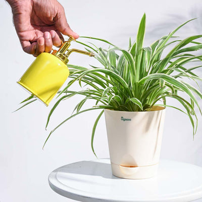 Spritzer Metallic Mister