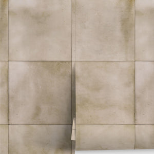The Collector's Study Peel + Stick Wallpaper by Jeremiah Brent
