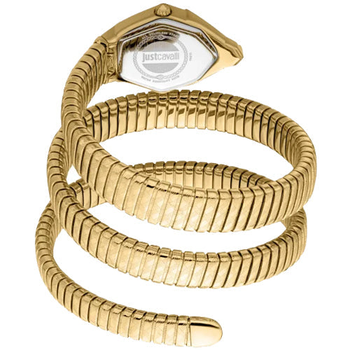 Just Cavalli Mesmerizing Silver Dial Women 23mm JC1L304M0025
