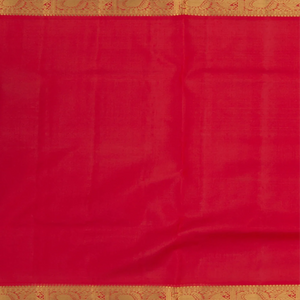 Light-Blue Handwoven Kanchipuram Tissue Saree With Contrast Pallu In Red-Light Blue