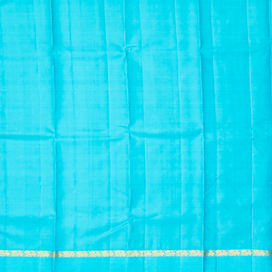 Blue Handloom Kanchipuram Silk Saree With Annam Chakaram Buttas-Blue