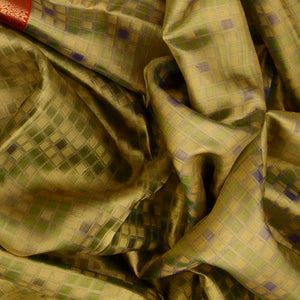 Mint Green Handwoven Kanchipuram Korvai Tissue Silk Saree With Checks & Annam, peacock Motifs in Red Border-Mint Green