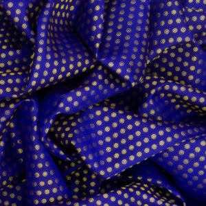 Blue Handloom Kanchipuram Silk Saree With Coin Motifs -Blue