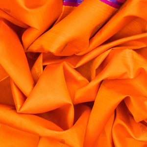 Mango Yellow Handloom Kanchipuram Korvai Silk Saree With Mango Motifs-Mango Yellow