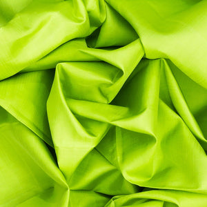 Light Green Handloom Kanchipuram Korvai Silk Saree With Blue Border-Light Green