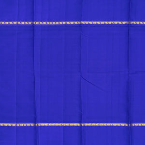 Light Green Handloom Kanchipuram Korvai Silk Saree With Blue Border-Light Green