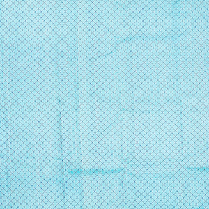 Blue Handloom Kanchipuram Korvai Silk Saree With Annam Motifs-Blue