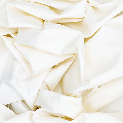 White Handloom Kanchipuram Korvai Silk Saree With Crimson Border-White