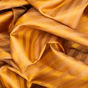 Beige Handloom Kanchipuram Korvai Silk Saree With Diagonal Stripes-Beige