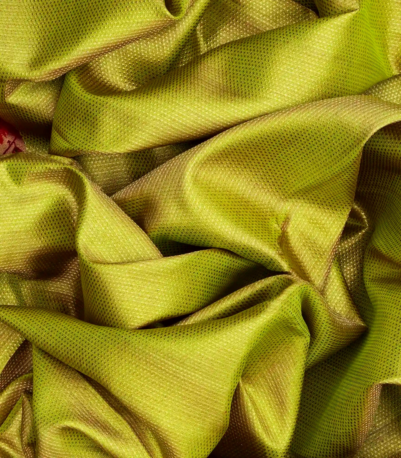 Golden Handloom Kanchipuram Silk Saree With Meena Parrot Motifs-Gold