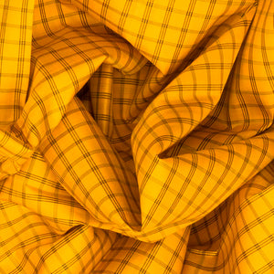 Yellow Handloom Kanchipuram Korvai Silk Saree With Checks-Yellow