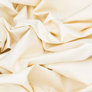 White Handloom Kanchipuram Korvai Silk Saree With Red Border-White