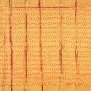 Gold Handloom Kanchipuram Tissue Silk Saree With Meena Kamalam Motifs-Gold