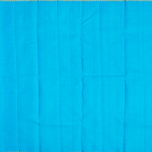 Turquoise Handloom Kanchipuram Silk Saree With Annam Chakaram Motifs-Turquoise