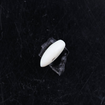 Opal with Fire - 3.49 Carats  (3.839 Ratti)