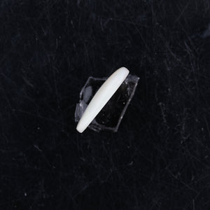 Opal with Fire - 3.47 Carats  (3.817 Ratti)