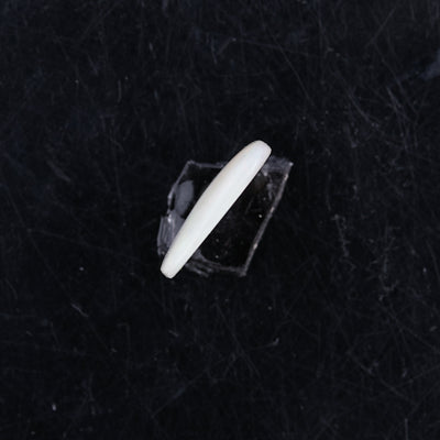 Opal with Fire - 3.47 Carats  (3.817 Ratti)