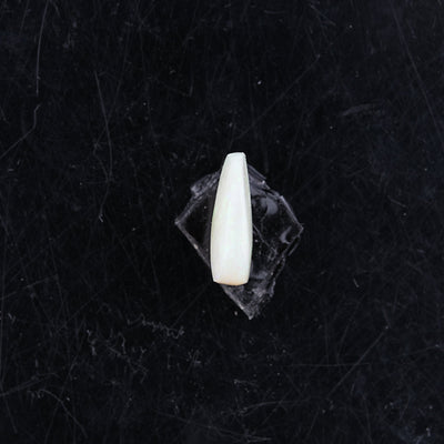 Opal with Fire - 3.22 Carats  (3.542 Ratti)