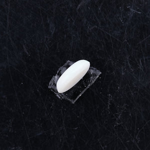 Opal with Fire - 2.53 Carats  (2.783 Ratti)