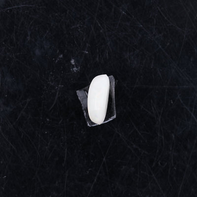 Opal with Fire - 2.27 Carats  (2.497 Ratti)