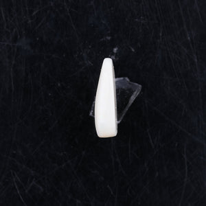 Opal with Fire - 5.02 Carats  (5.522 Ratti)