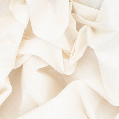 White Handloom Kanchi Cotton Saree With Annam Motifs In Ganga Jamuna Border-White